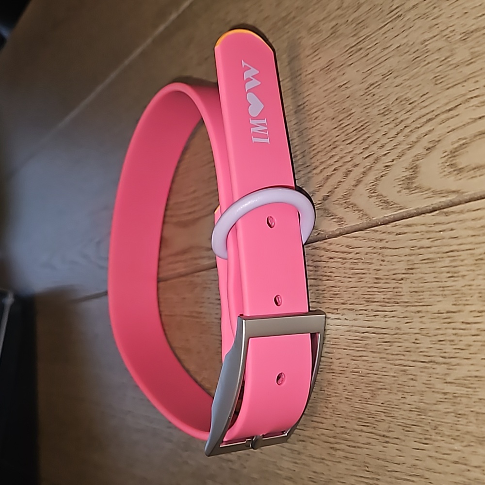Wild One Dog Collar